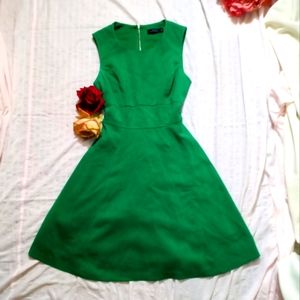 The limited green dress 4